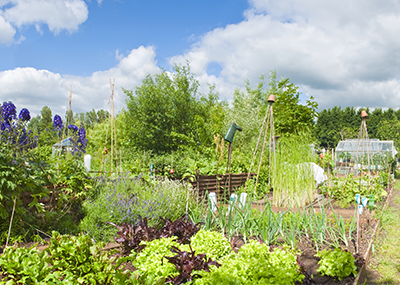 florentaise-biofumur